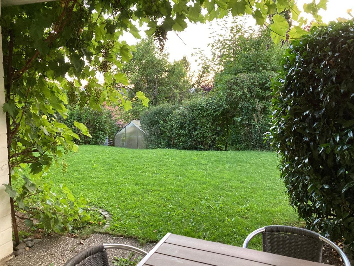 Fewo Alkapa Hilzingen Exteriör bild