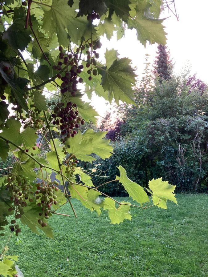 Fewo Alkapa Hilzingen Exteriör bild